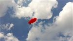 My new red zeppelin